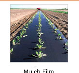 Mulch Film